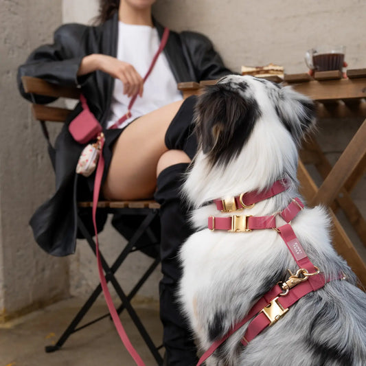 GUINZAGLIO PER CANI CONVERTIBILE 4 IN 1 BURGUNDY