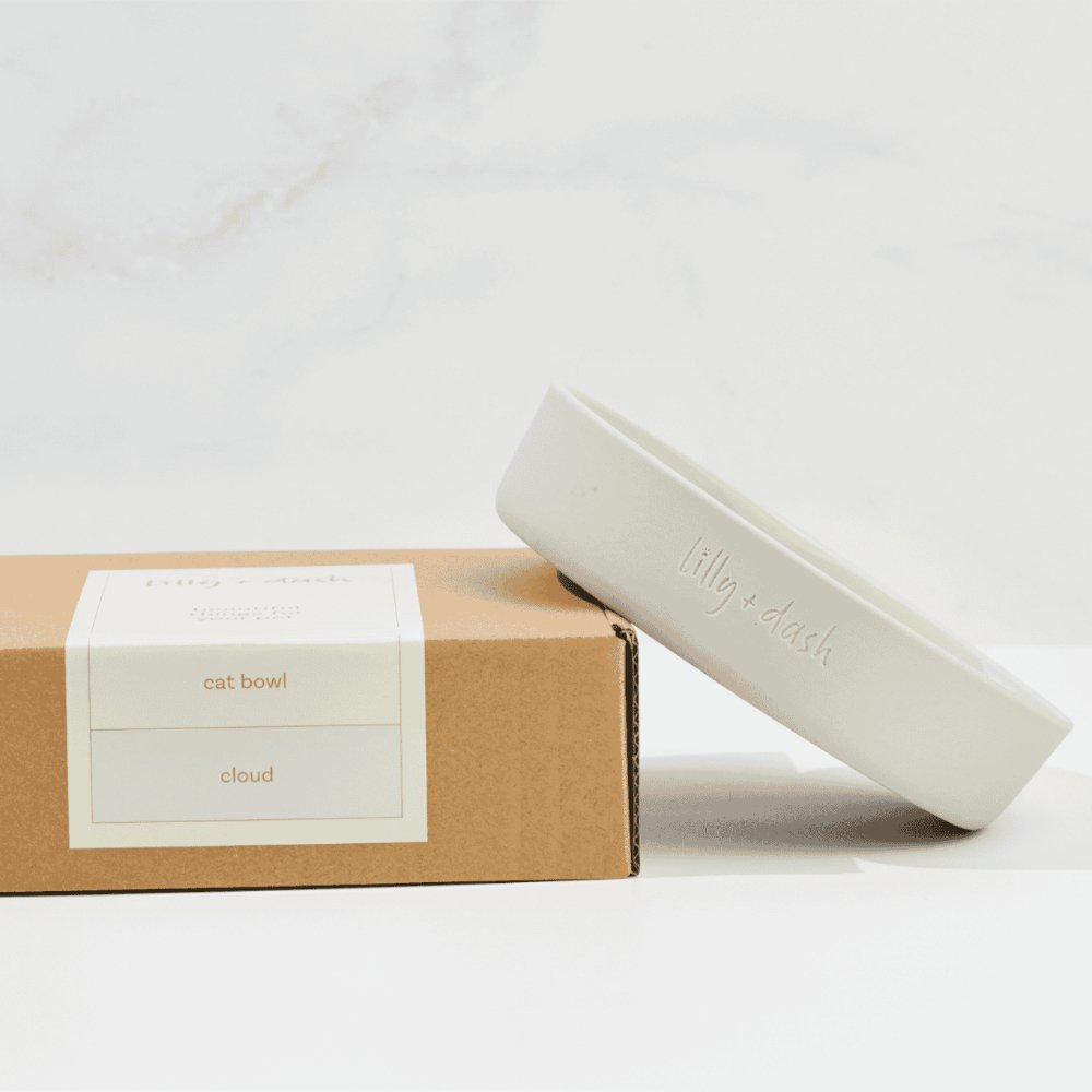 Ciotola per gatti colore cloud con confezione regalo – Fridom