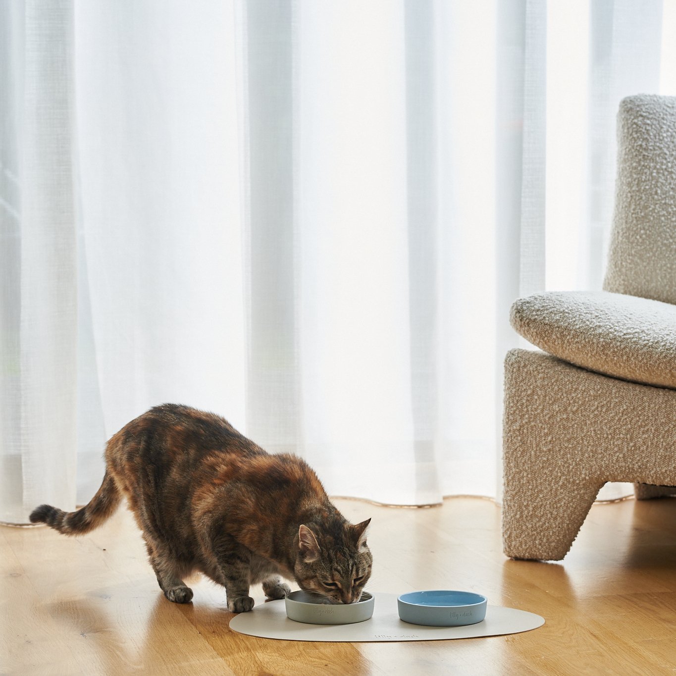 Gatto che mangia dalla ciotola in ceramica su tovaglietta impermeabile – Fridom