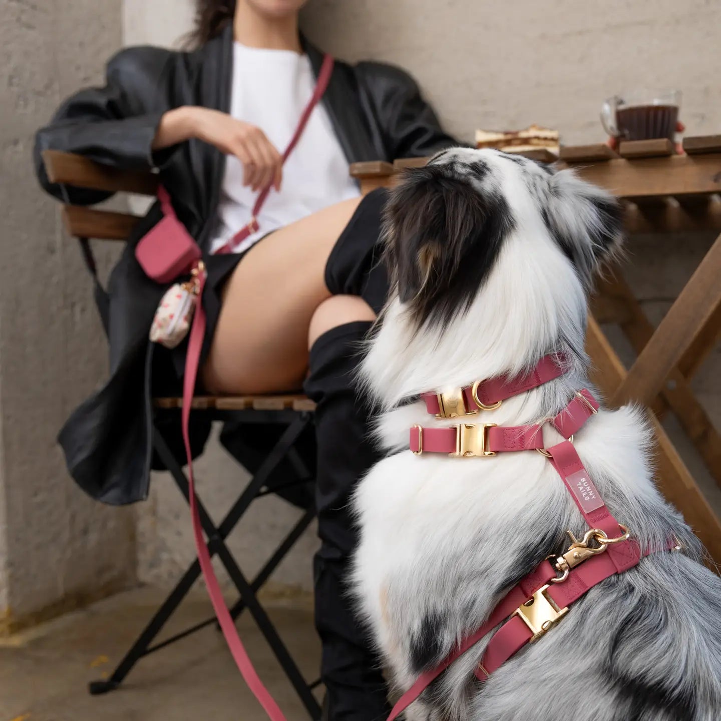 Collare Impermeabile per Cani – Burgundy