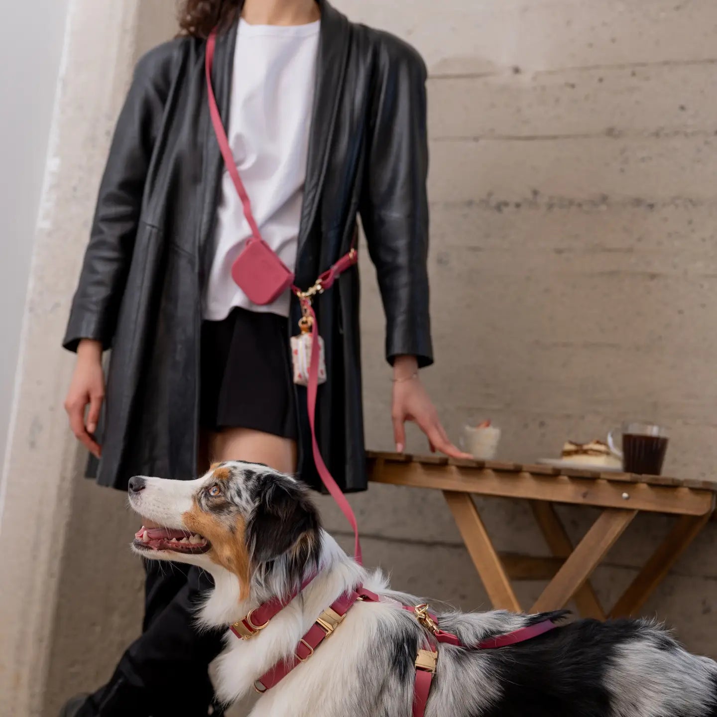 GUINZAGLIO PER CANI CONVERTIBILE 4 IN 1 BURGUNDY