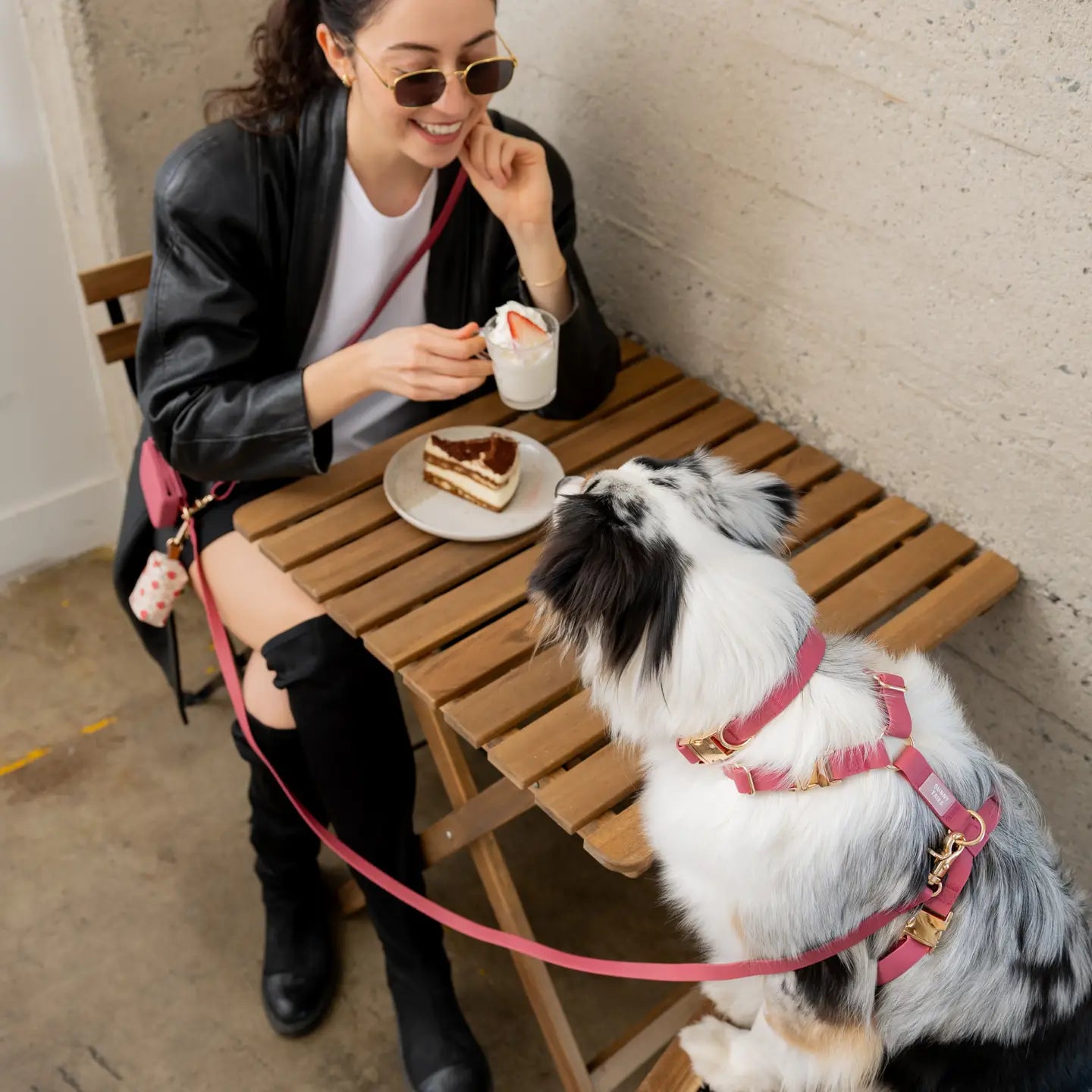 Collare Impermeabile per Cani – Burgundy