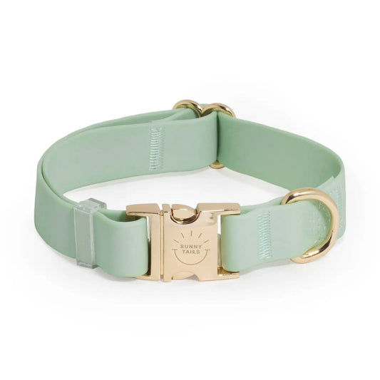 COLLARE IMPERMEABILE PER CANI PISTACCHIO