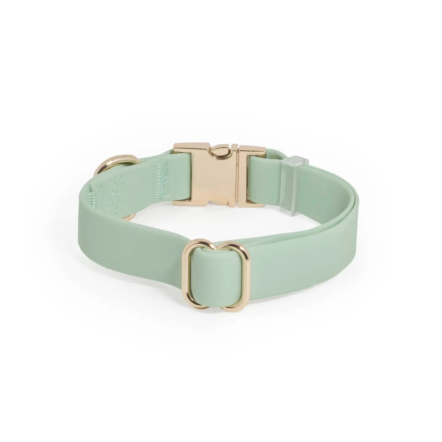 Collare Impermeabile per Cani – Pistacchio