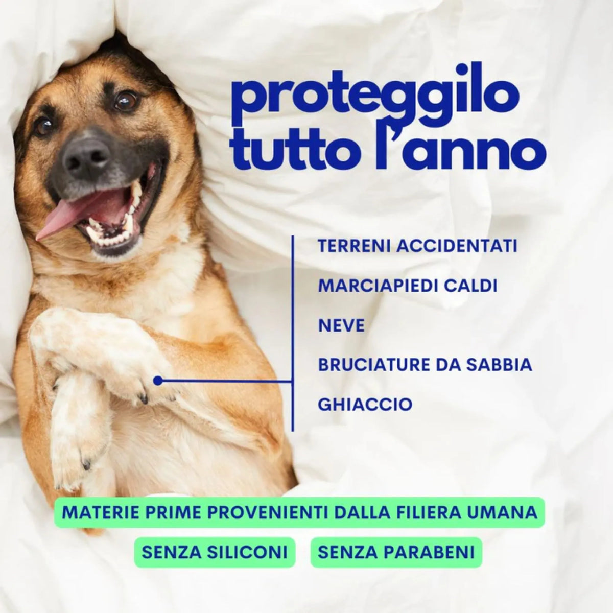Dream Cream Jampy per cani – protegge zampe da terreni accidentati, marciapiedi caldi, neve, sabbia e ghiaccio – senza siliconi né parabeni – Fridom