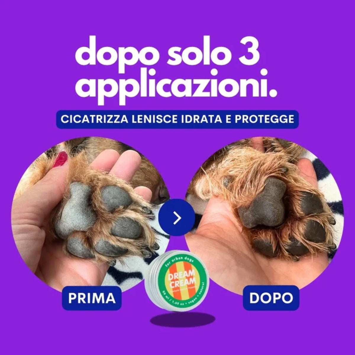 Dream Cream Jampy risultati zampe cane prima e dopo 3 applicazioni – crema cicatrizzante e lenitiva – Fridom