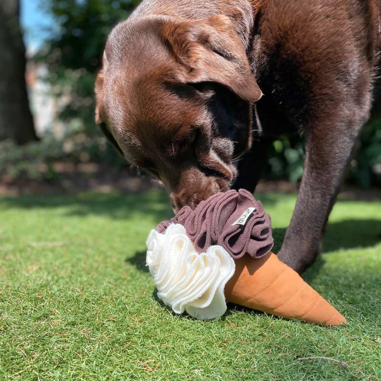 GIOCO OLFATTIVO – Cono Gelato