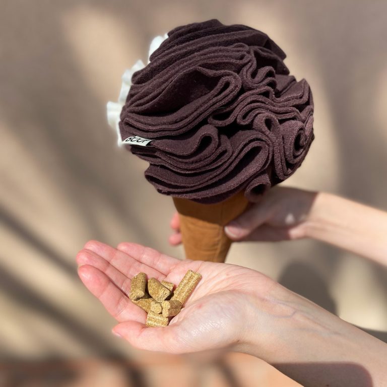 GIOCO OLFATTIVO – Cono Gelato