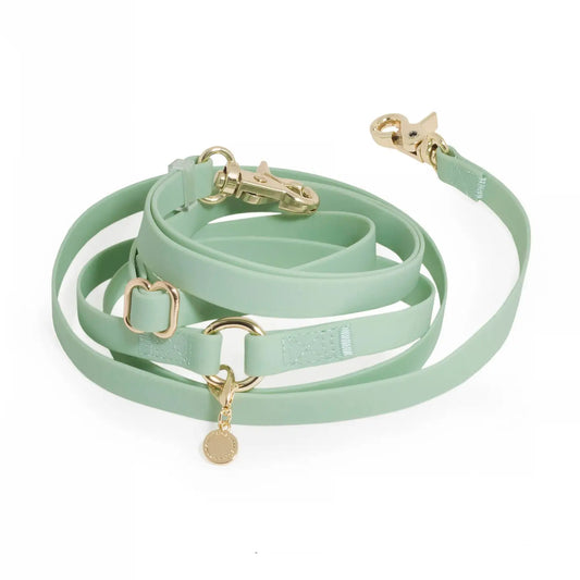 GUINZAGLIO PER CANI CONVERTIBILE 4 IN 1 VERDE PISTACCHIO