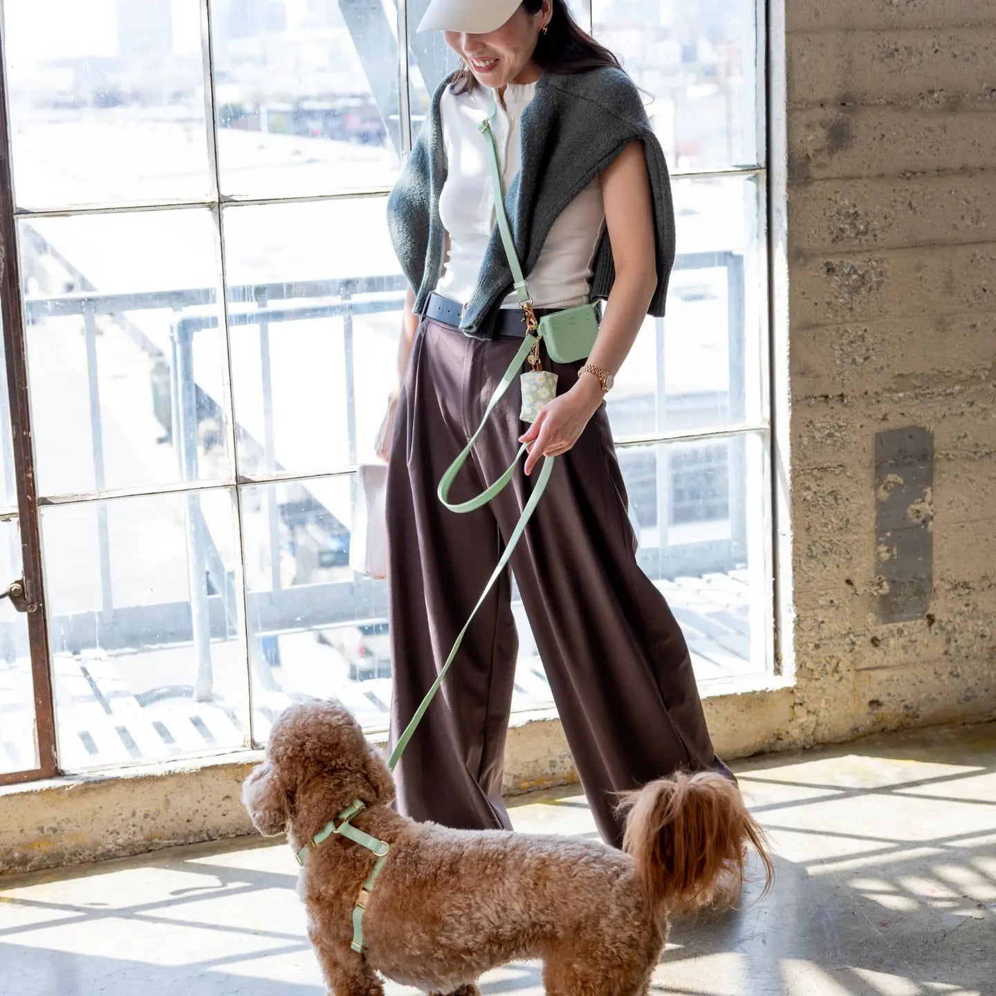 Guinzaglio per Cani Convertibile 4 in 1 – Pistacchio