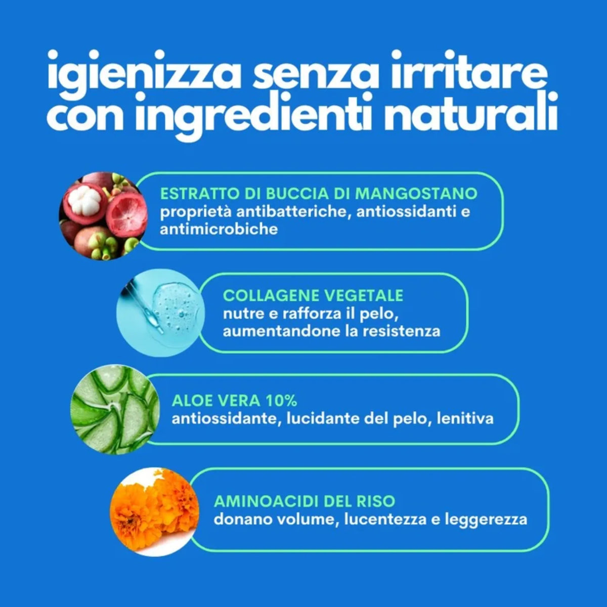 Ingredienti naturali detergente cane One Two Clean - estratto buccia mangostano antibatterico, collagene vegetale, aloe vera 10% lenitiva, aminoacidi del riso per pelo voluminoso e lucente