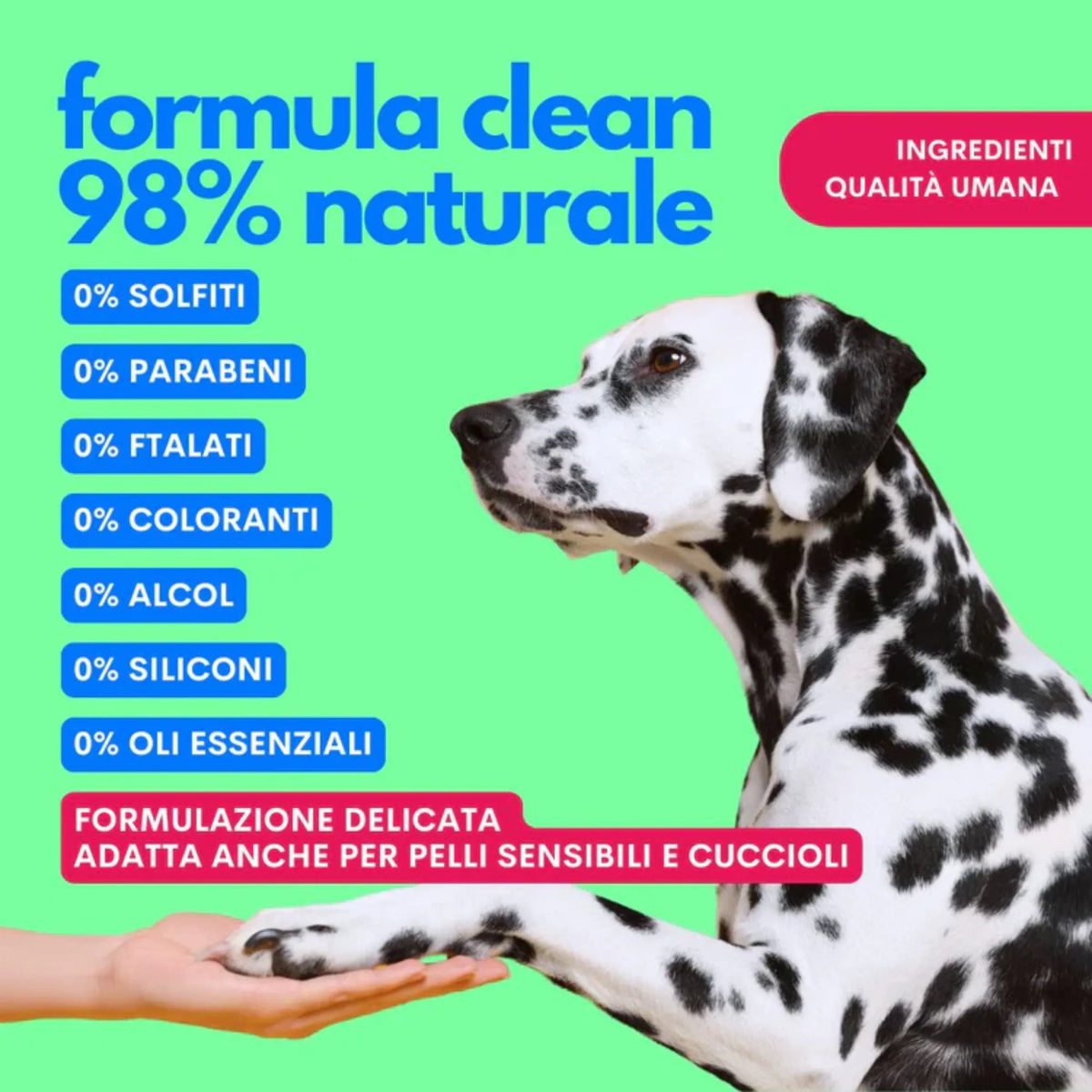 Formula clean 98% naturale detersivo canna - 0% solfiti parabeni ftalati coloranti alcol siliconi oli essenziali, ingredienti qualità umana, adatto pelli sensibili e cuccioli