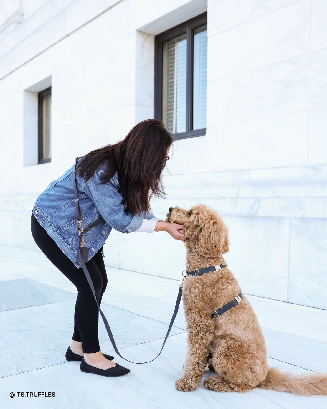 Cane con pettorina nera – vista laterale - Fridom