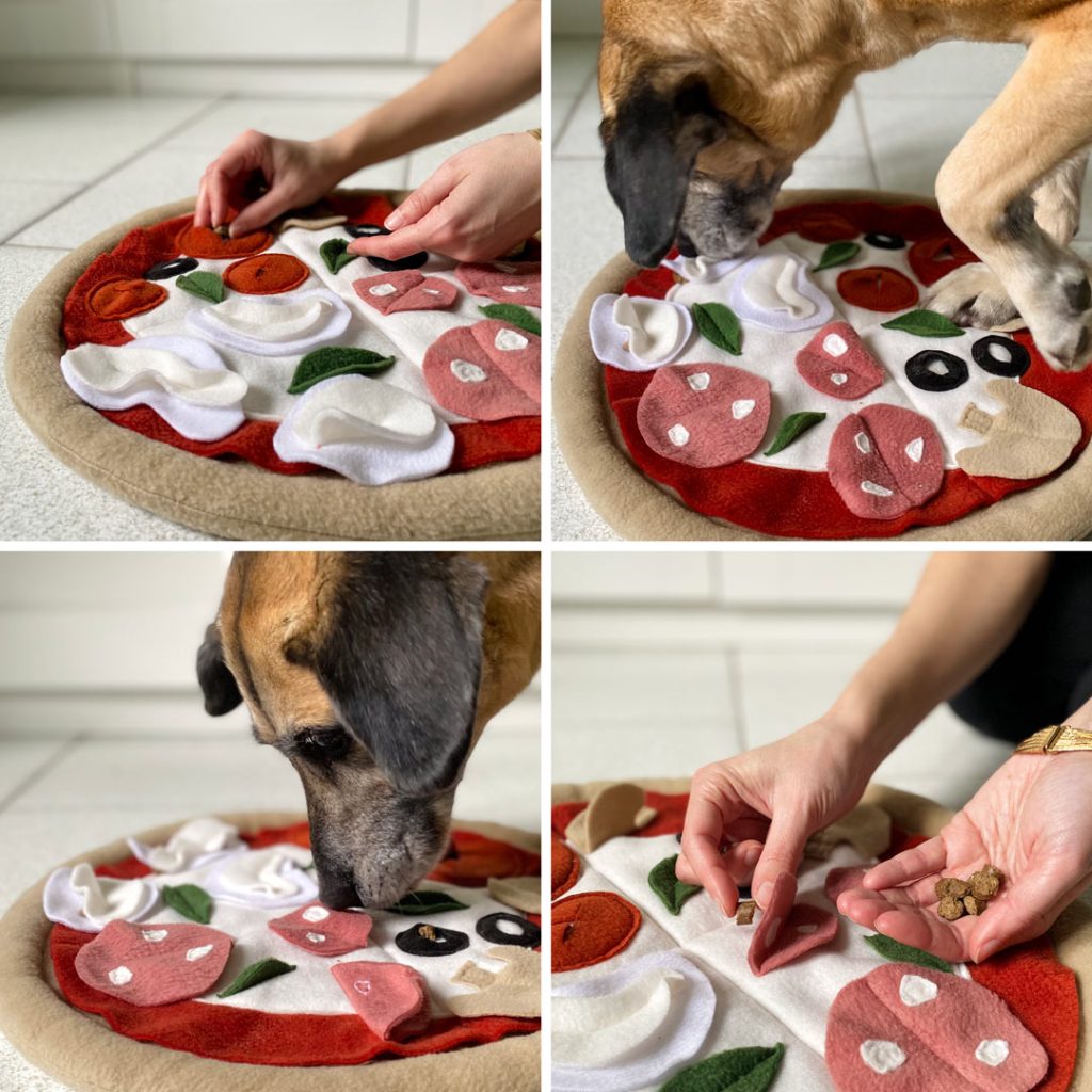 Cane che annusa e gioca con la snuffolosa pizza olfattiva – stimolazione mentale – Fridom
