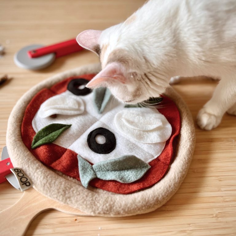 Gatto che esplora la snuffolina pizza olfattiva con la zampa – stimolazione mentale – Fridom