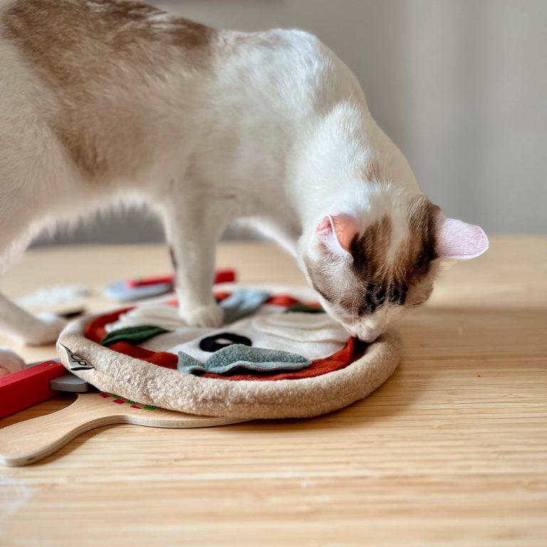 Gatto che annusa e gioca con la snuffolina pizza olfattiva – stimolazione mentale – Fridom