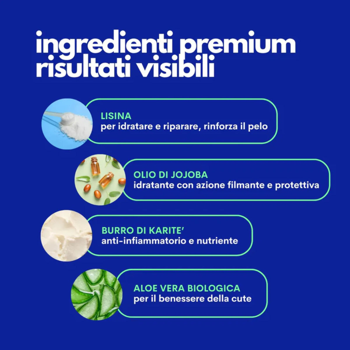 Ingredienti premium shampoo canne The Number One - lisina, olio di jojoba, burro di karité, aloe vera biologica per pelo sano e cute idratata