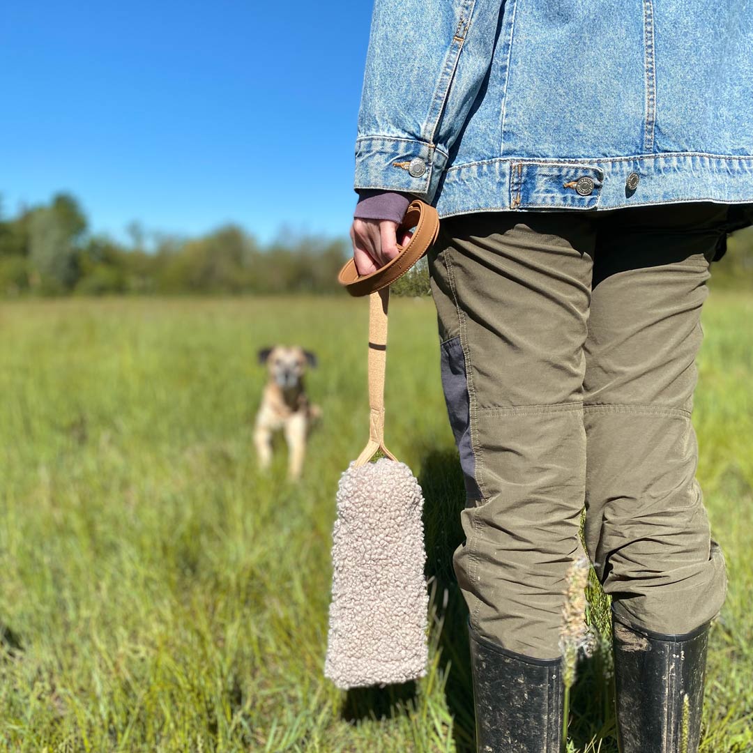 Cane che gioca con il tira e molla bouclé all'aperto – Fridom