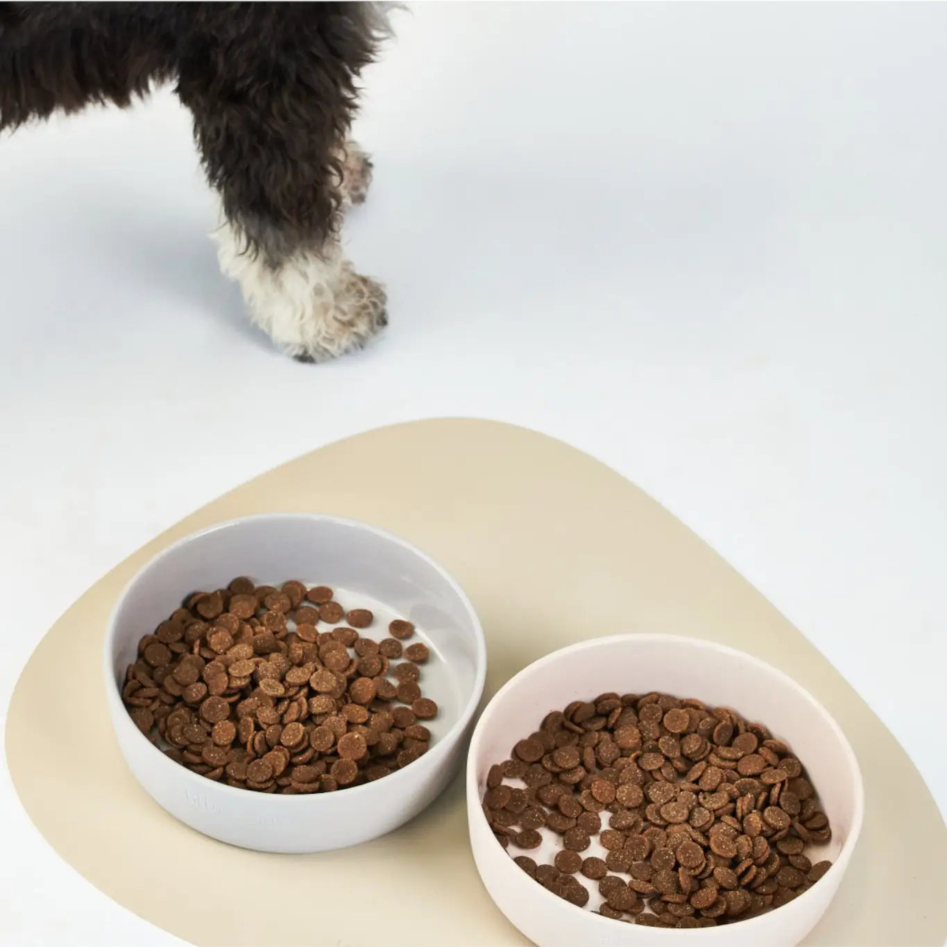 Due ciotole di crocchette sulla tovaglietta impermeabile beige per cani e gatti – Fridom