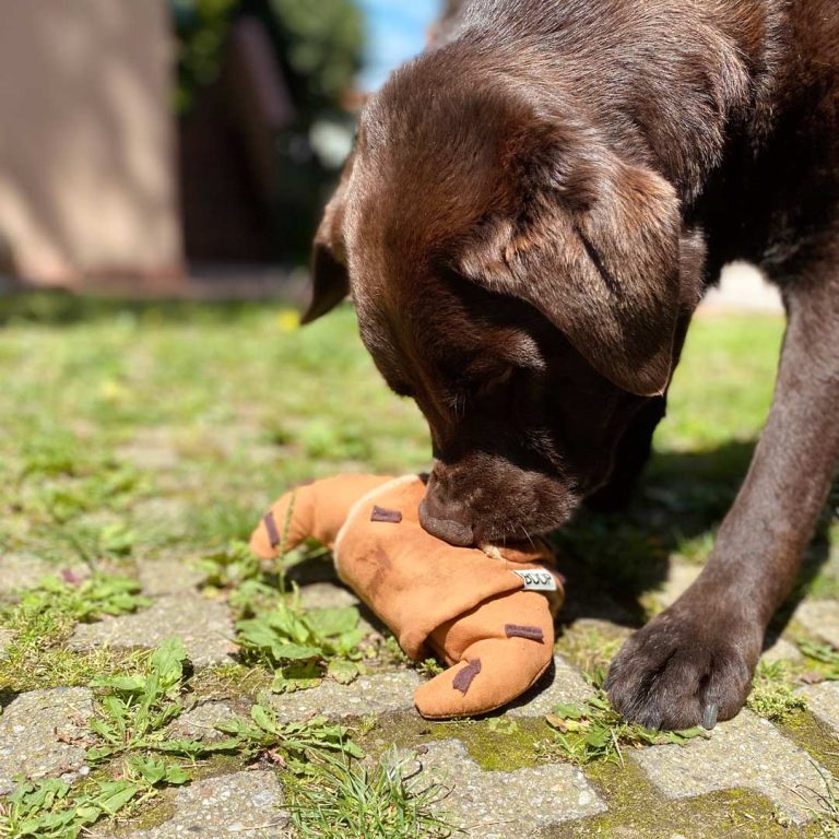 GIOCO OLFATTIVO – Cornetto al Cioccolato