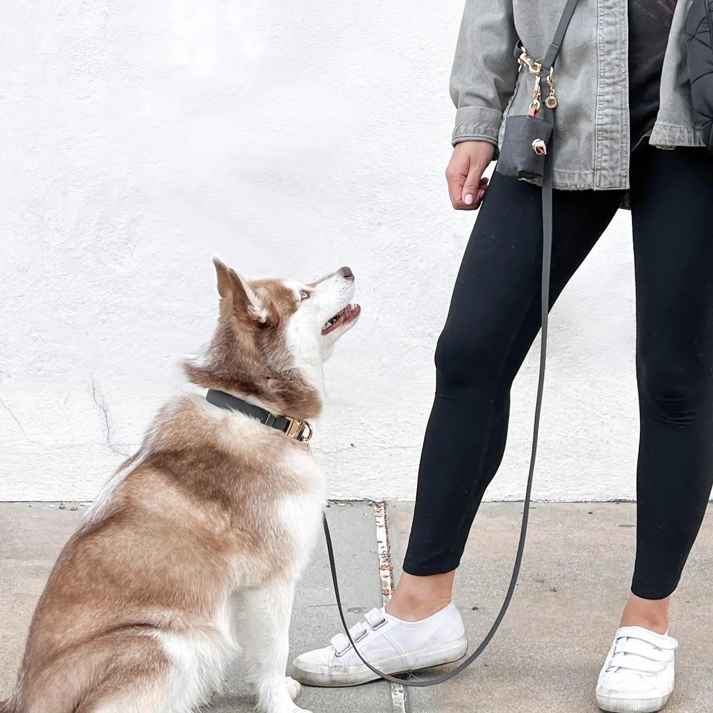Collare Impermeabile per Cani – Nero