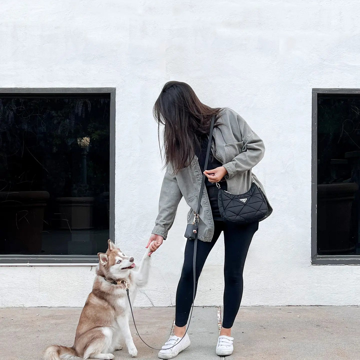 Guinzaglio per Cani Convertibile 4 in 1 – Nero