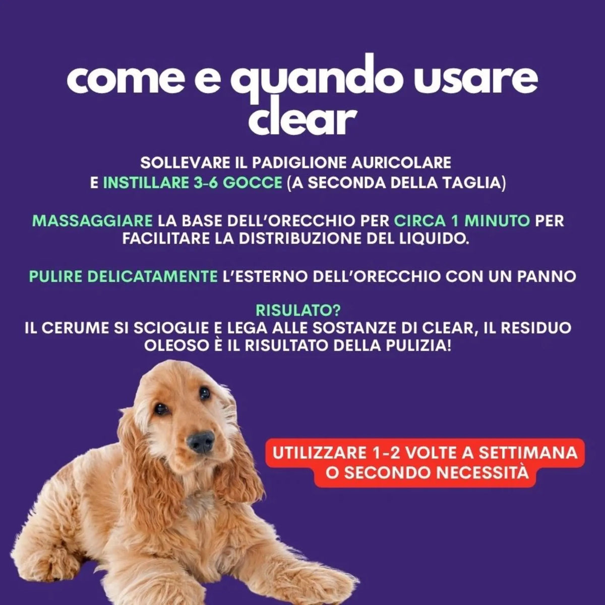 Come usare Clear Jampy – istruzioni gocce auricolari per cani, 1-2 volte a settimana – Fridom